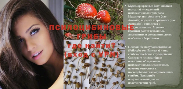мескалин Арсеньев