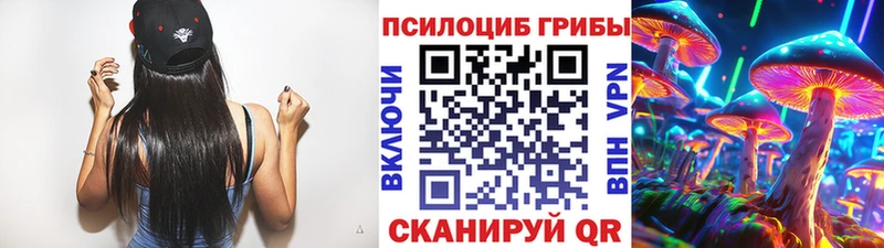 Псилоцибиновые грибы Psilocybine cubensis Инта
