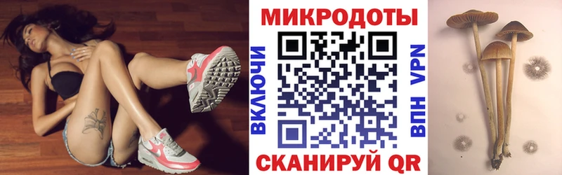 Галлюциногенные грибы Cubensis  дарнет шоп  Инта 